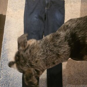 Stylish Dark Blue Skinny Jeans